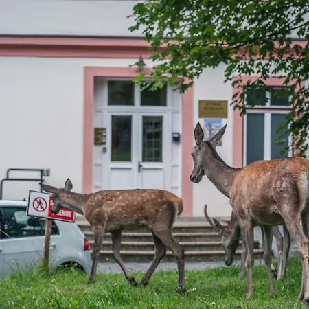 Apartmán Tatrystay Lomnica