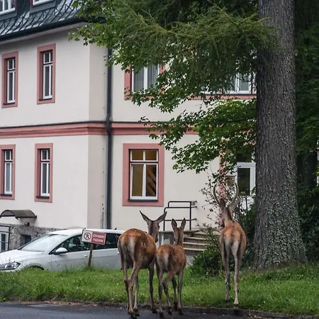 شقة Tatrystay Lomnica Tatranská Lomnica